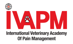 IVAPM